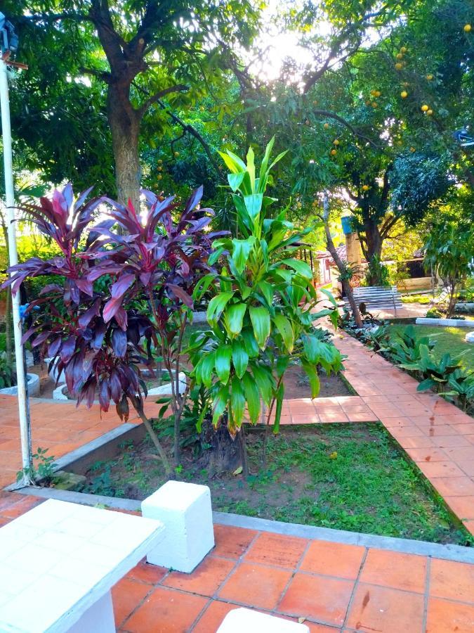 Hotel La Aparesida Areguá Eksteriør bilde